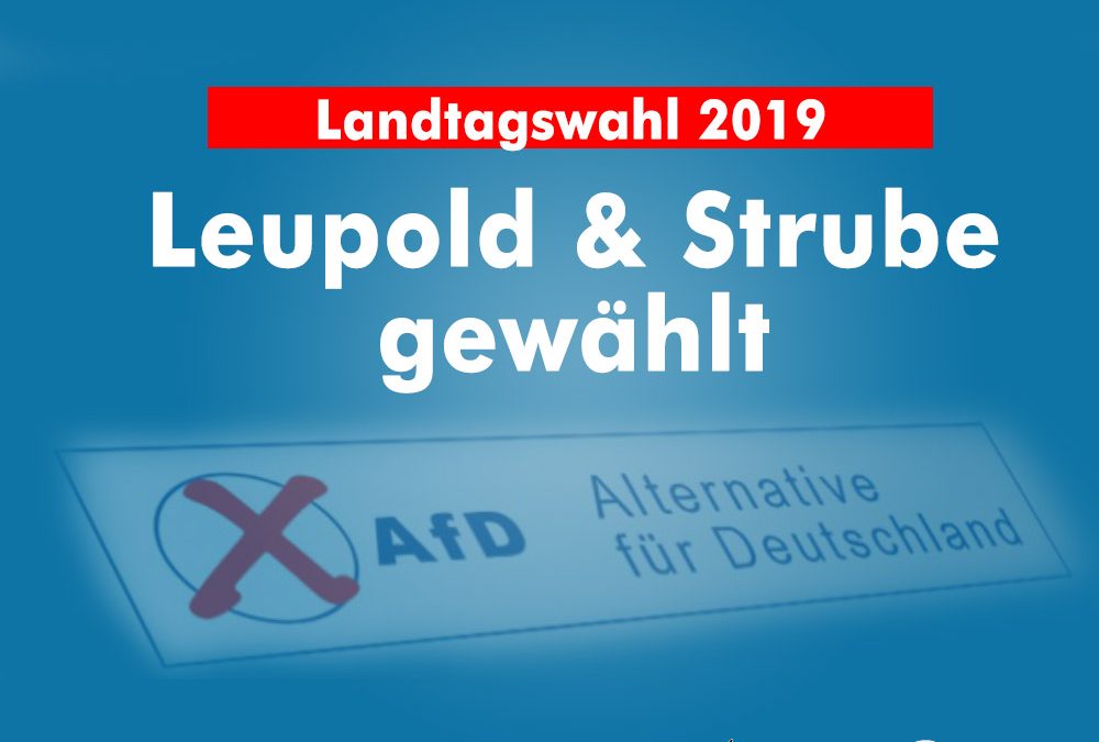 AfD kürt Direktkandidaten