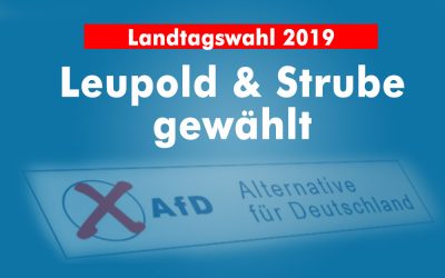 AfD kürt Direktkandidaten