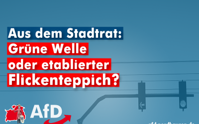 Grüne Welle oder etablierter Flickenteppich?