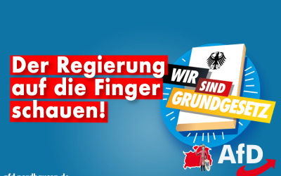 AfD und die Frage nach der Seitenzahl. Ein Kommentar
