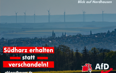 Südharz erhalten statt verschandeln!