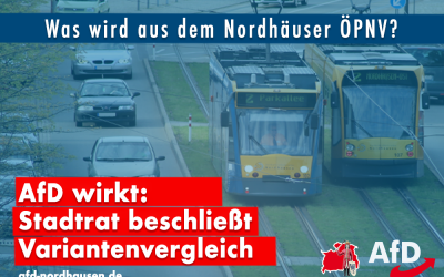 Stadtrat beschließt Variantenvergleich bei Abgabe von Bus und Straßenbahn an den Landkreis