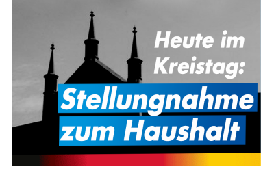 Kommentar zum Haushalt 2021