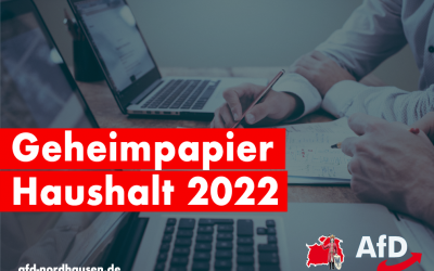 Geheimpapier Haushalt 202