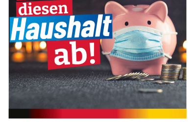 Wir lehnen diesen Haushaltsentwurf ab!