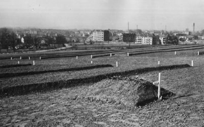 Ehrenfriedhof: Nicht noch ein Großprojekt