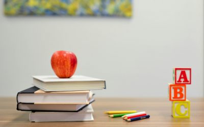 Schulspeisung: Auf dem Rücken der Kinder
