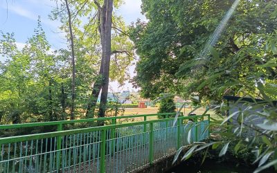 Kerstin Düben-Schaumann (AfD) zu: Sommertouren ohne Salzaquellbad – Erfurt lässt Nordhausen erneut im Stich